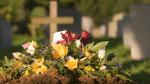 burial cost