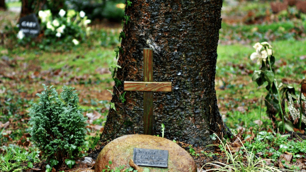 Eco-Friendly & Natural Funeral Options in Australia