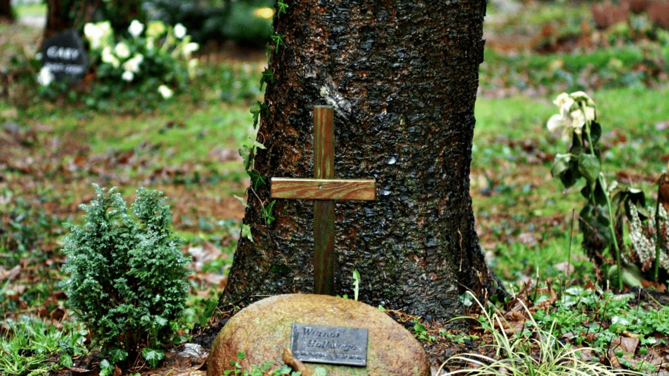Eco-Friendly & Natural Funeral Options in Australia