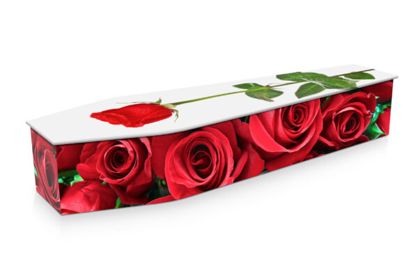 Expression Red Roses Coffins